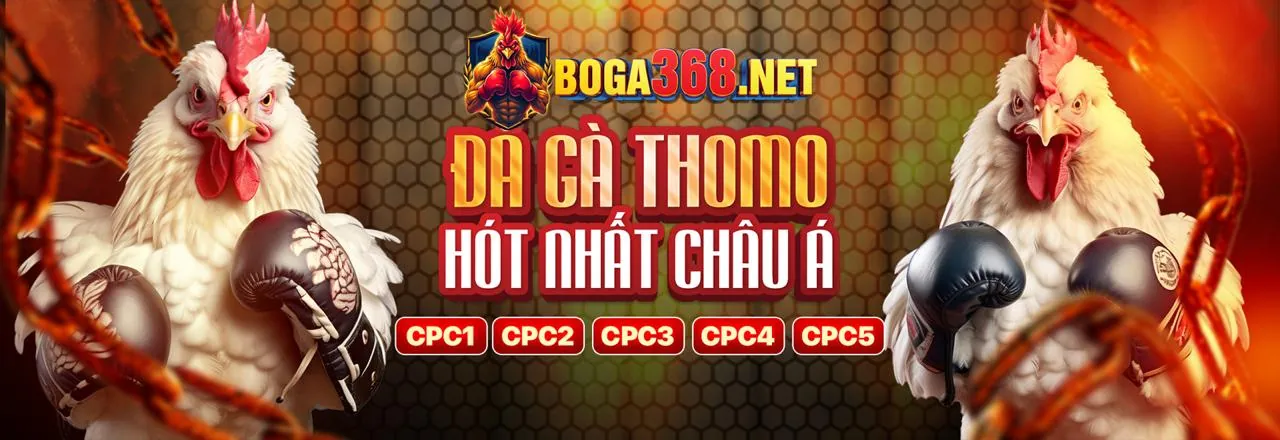 Hình ảnh minh họa các lợi ích khi chọn jun88aa1